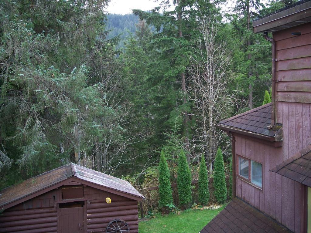 Tall Trees Bed & Breakfast Prince Rupert Phòng bức ảnh